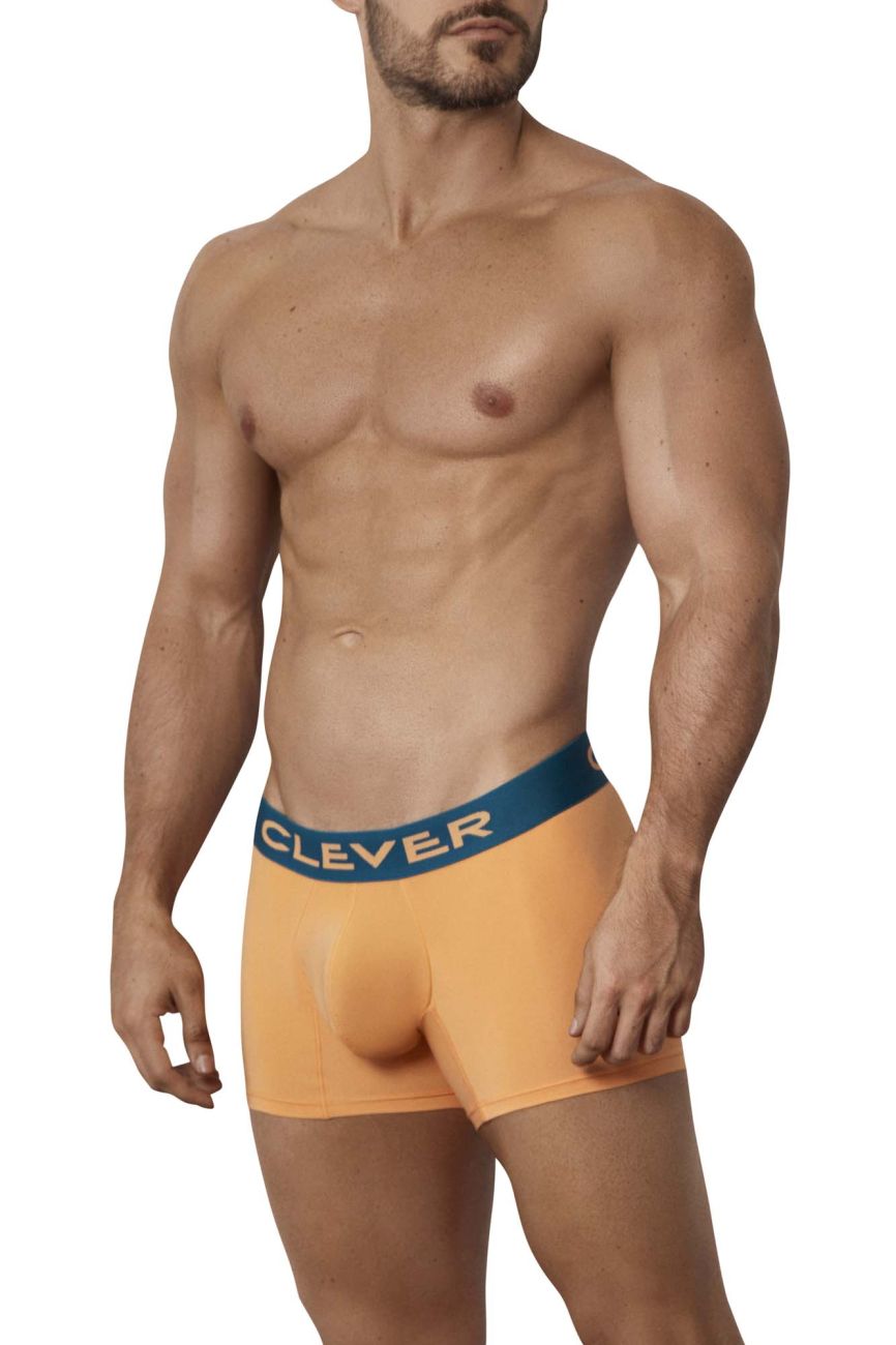 Coque Boxer Briefs