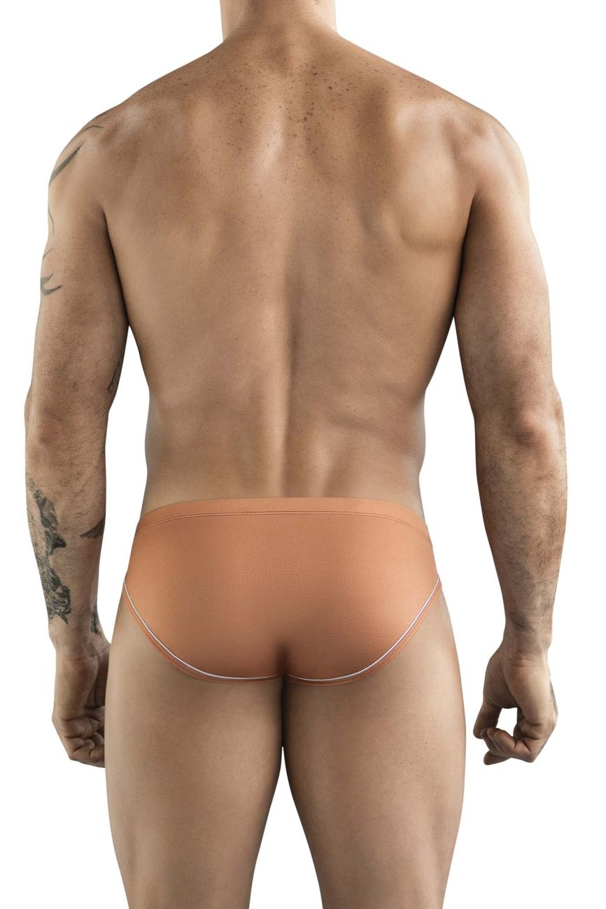 Argovia Briefs