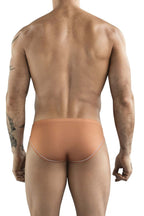 Argovia Briefs