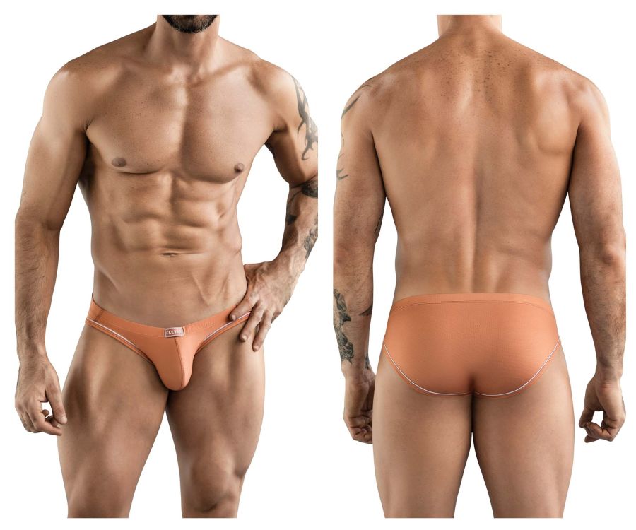 Argovia Briefs