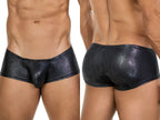 Atlas Trunks