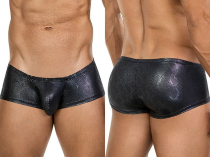 Atlas Trunks
