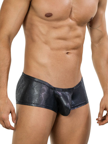 Atlas Trunks