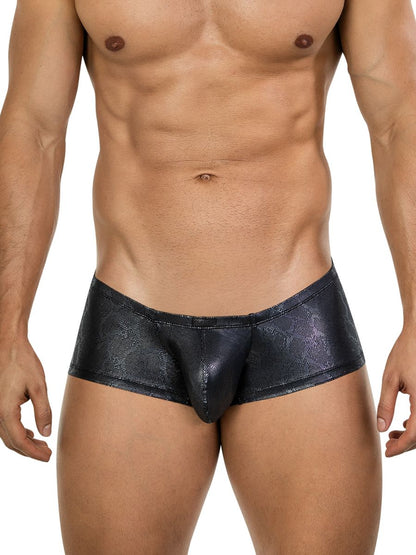 Atlas Trunks