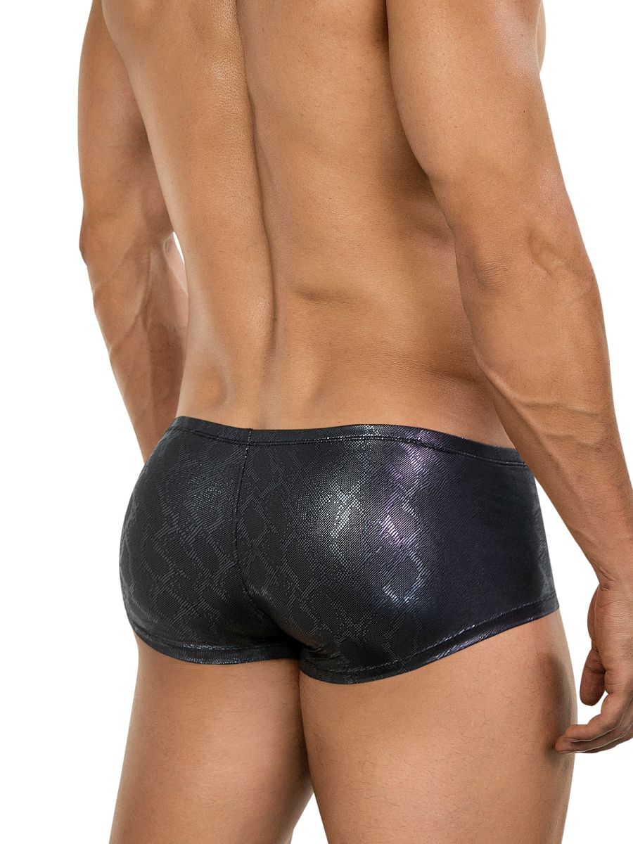 Atlas Trunks