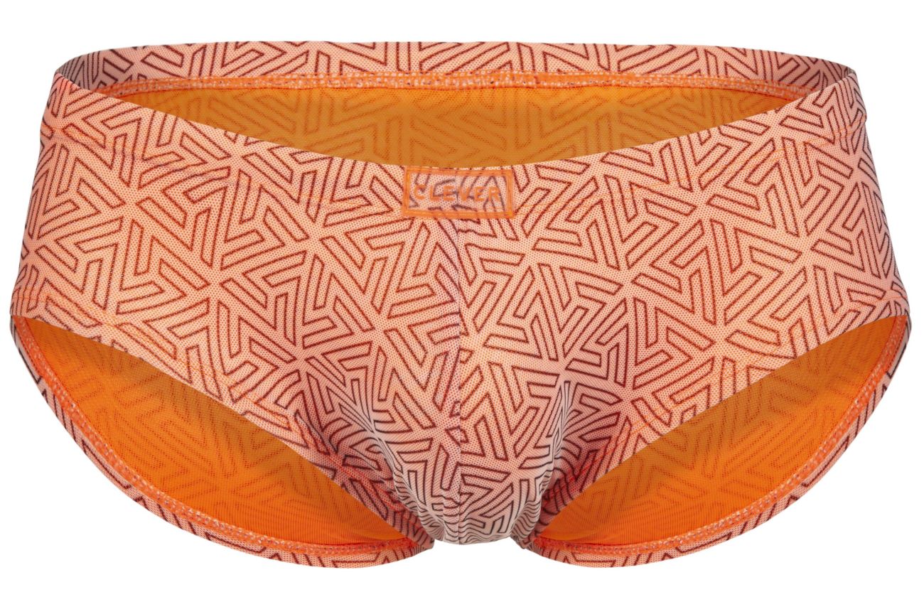 Neon Briefs
