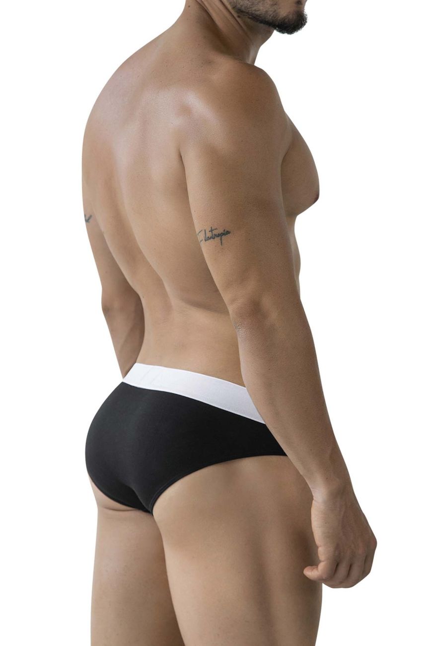 Origen Briefs