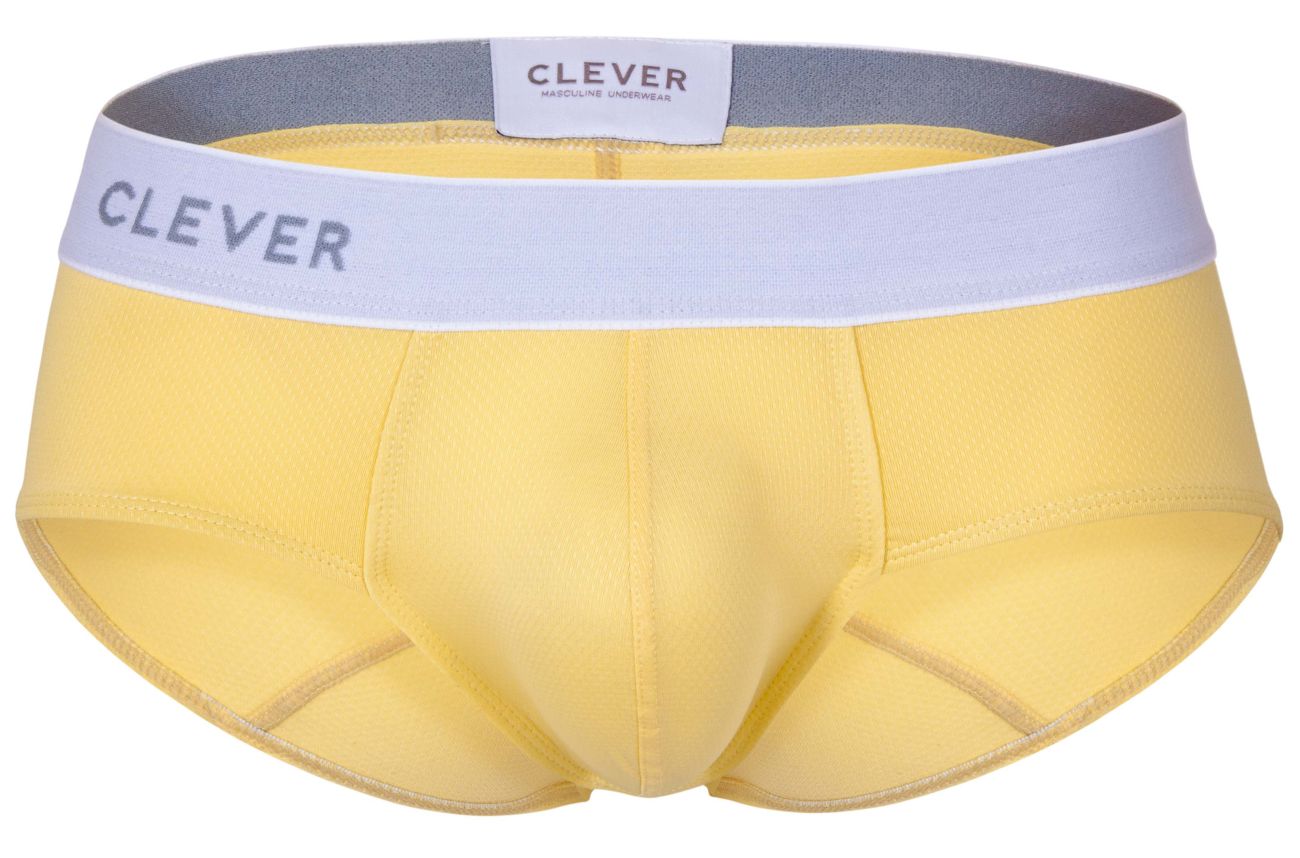 Lecler Briefs