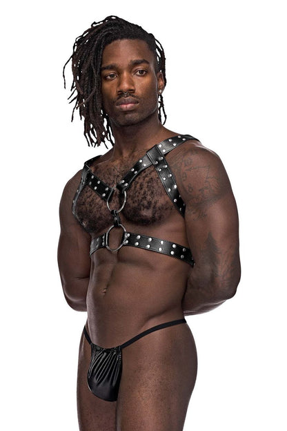 Leather Gemini Harness
