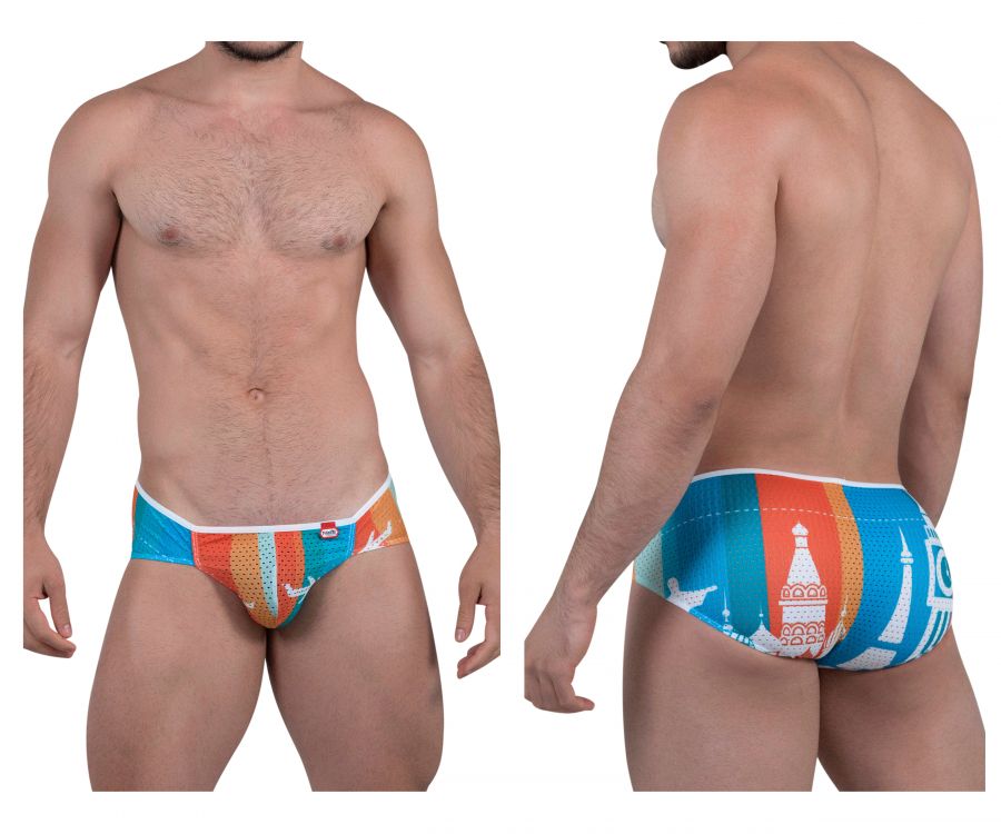 PIK 8737 Global Briefs