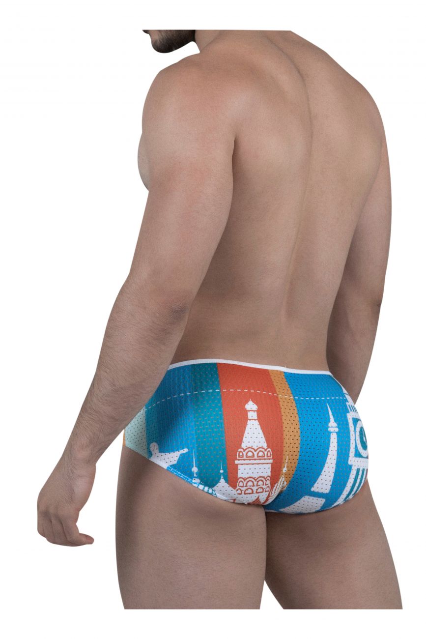 PIK 8737 Global Briefs