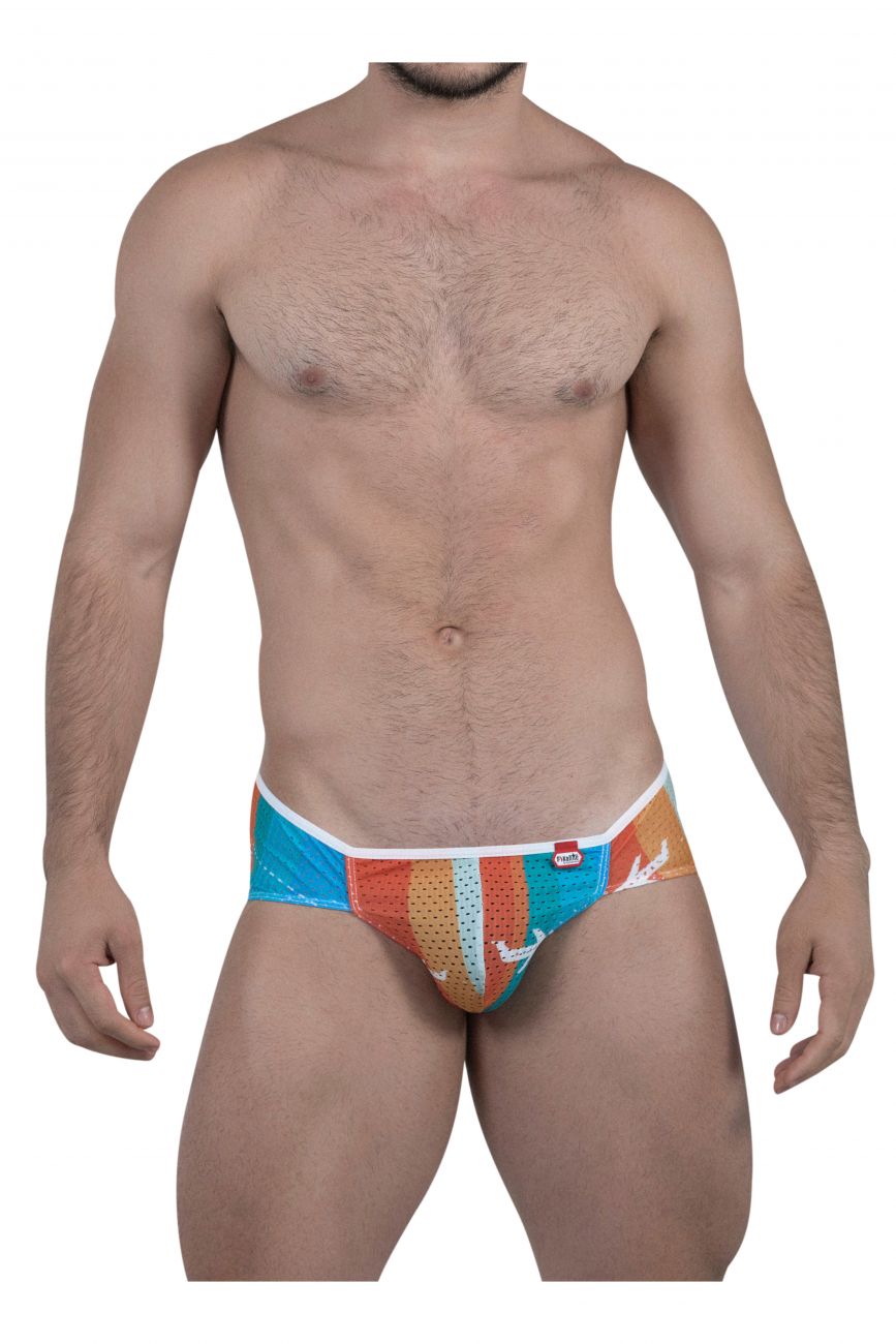 PIK 8737 Global Briefs